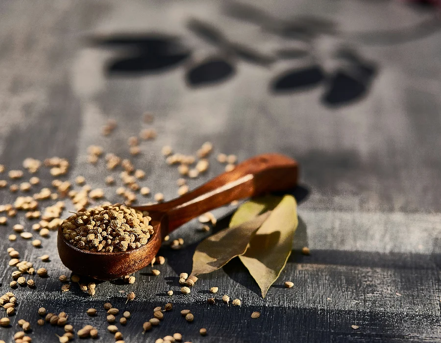 Coriander Seeds
