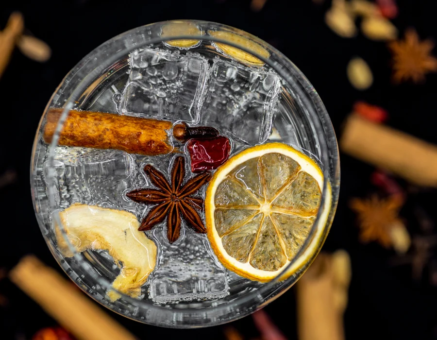 spice in classic london dry gin cocktail