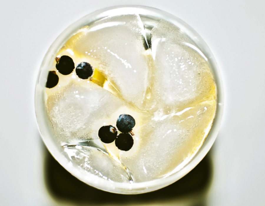 fancy gin and tonic with lemon and peppercorns