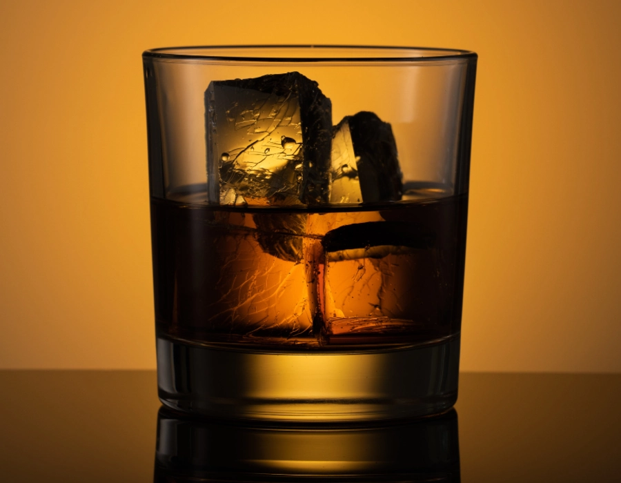 wild turkey on the rocks