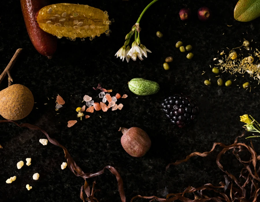 botanicals scattered on dark background