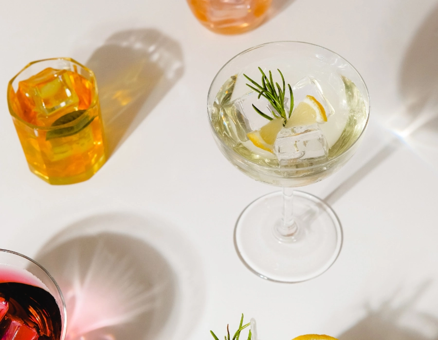 gin cocktails with vermouth, lemon juice and orange in a glass