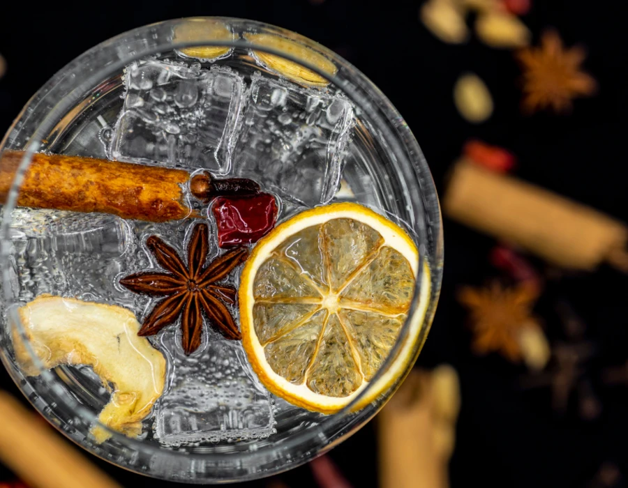 gin cocktail with botanicals