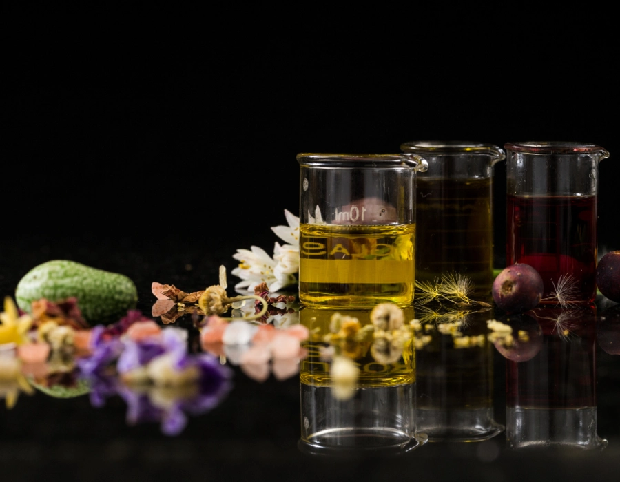 Botanical Bliss: Exploring the Ingredients in Gin