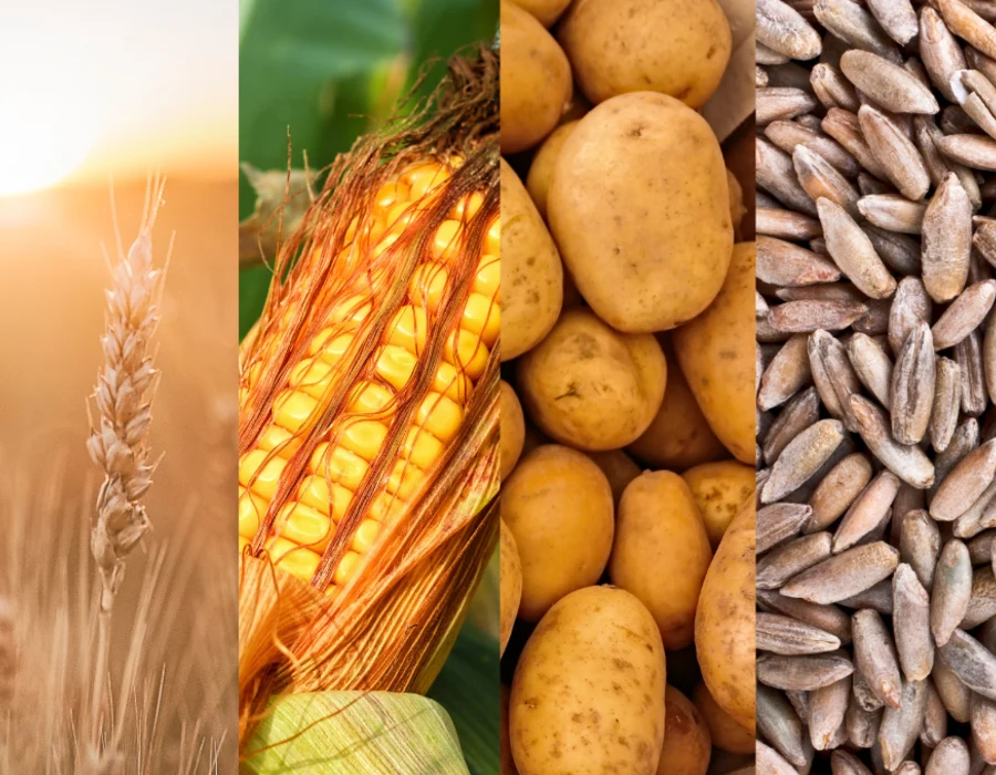 most vodkas are made from these products to make alcohol