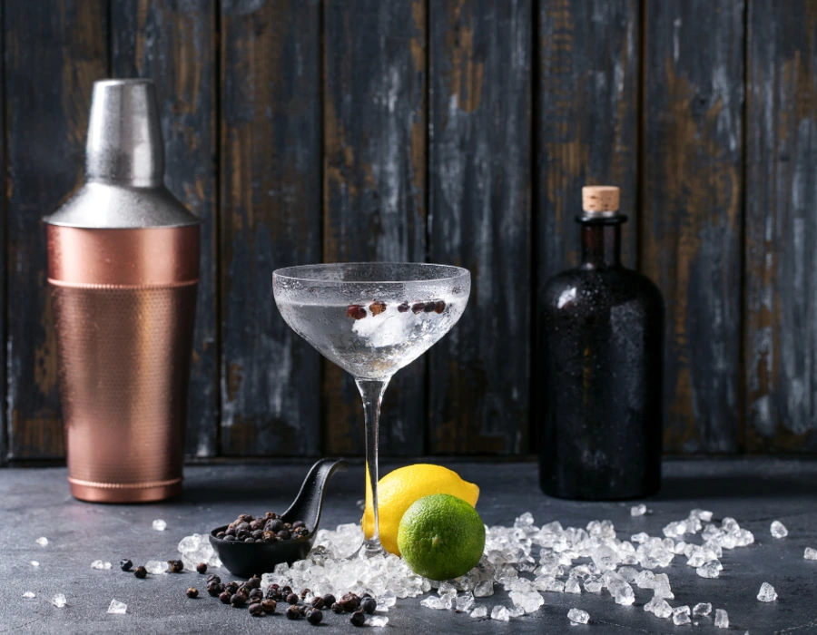 How to Host a Gin and Tonic Tasting Night