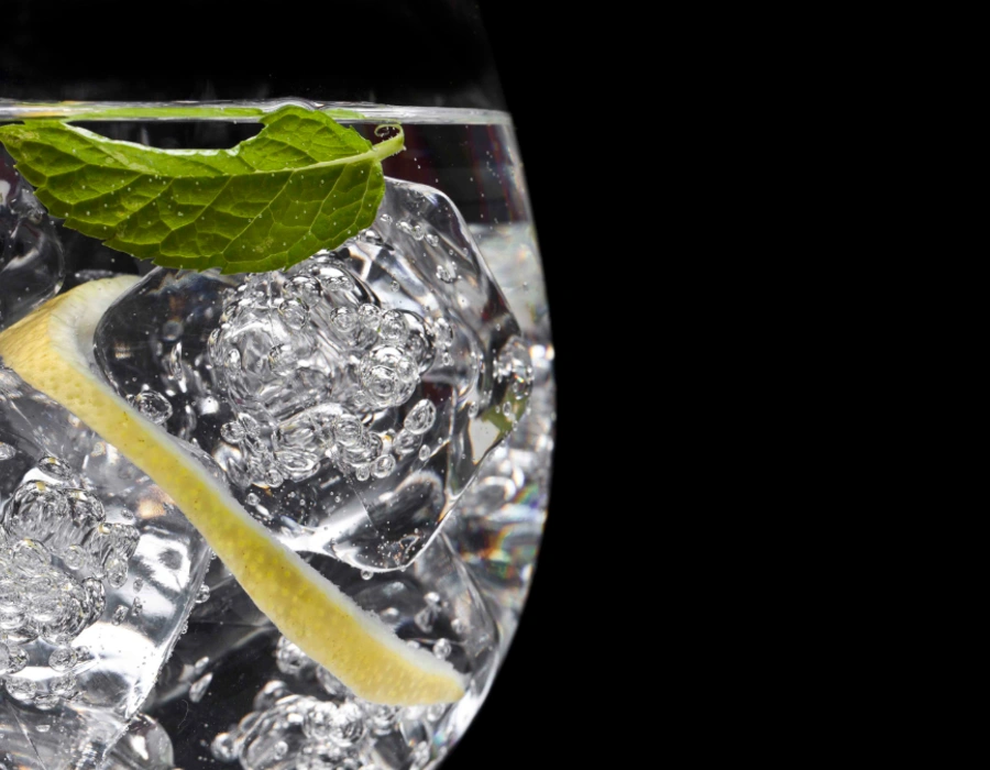 gin and tonic water