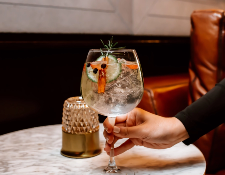 sloe gin with soda, ice cubes and garnish for flavour