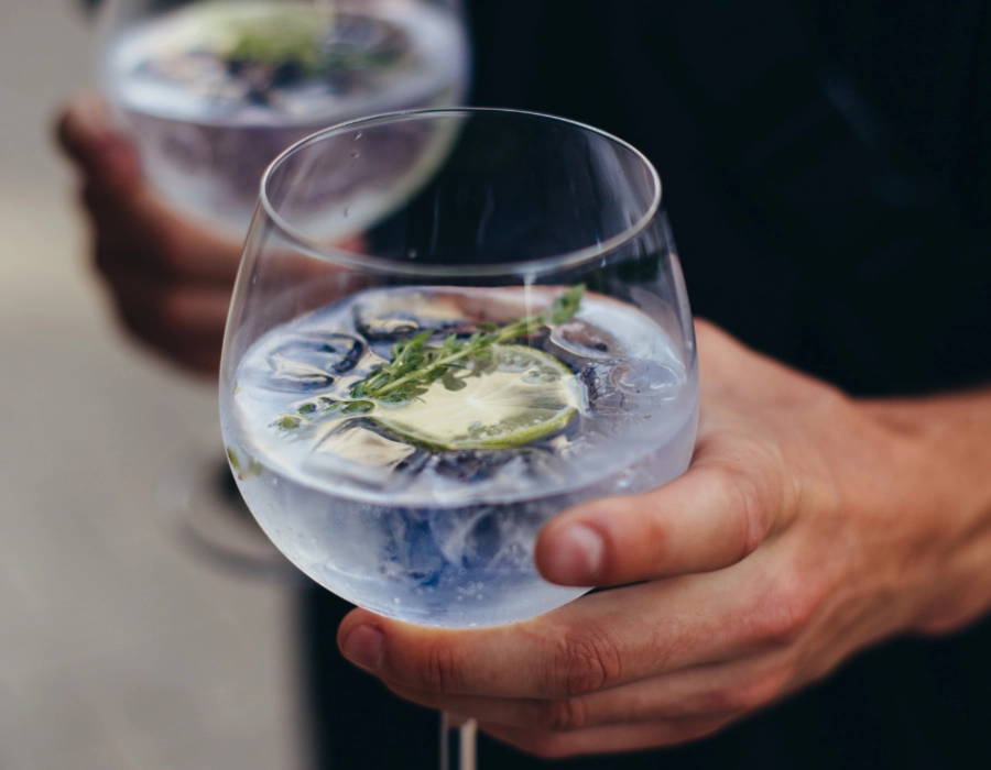 The Perfect Gin and Tonic: A Guide to Proportions and Garnishes