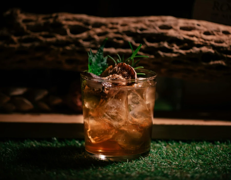 gin negroni cocktail