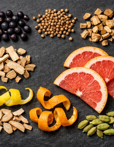 botanicals for flavoured gin