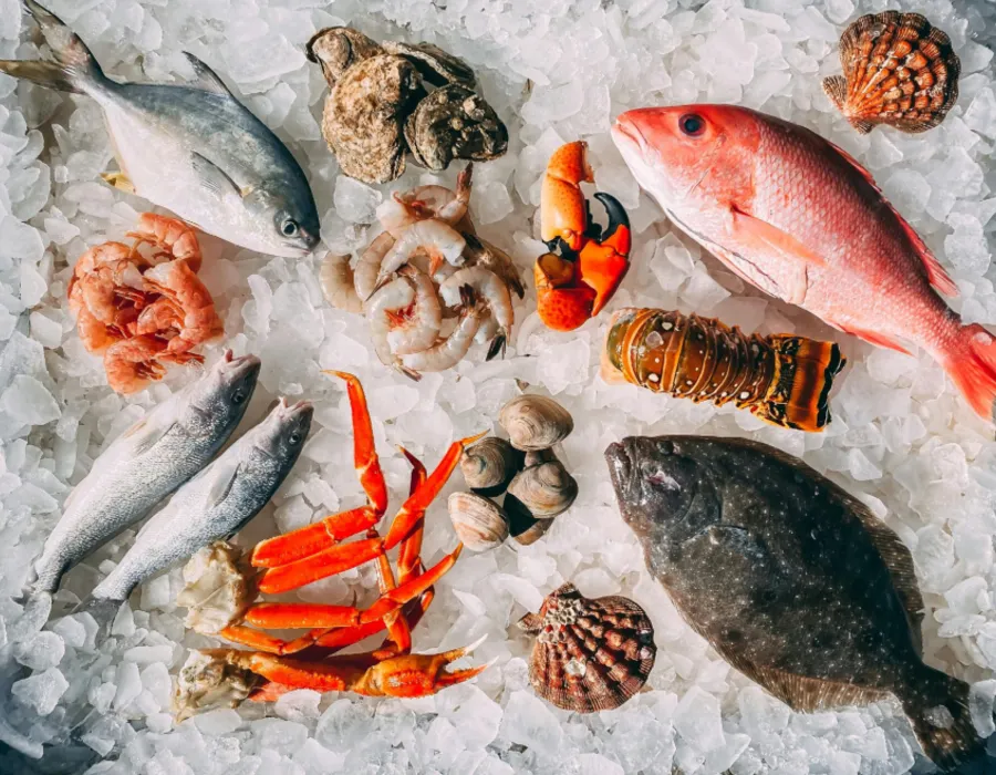 fresh seafood on ice