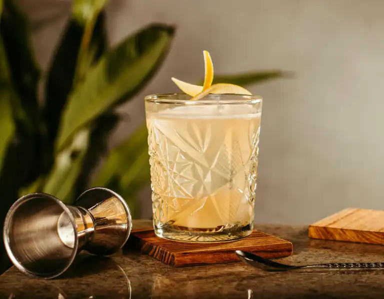 Gin Fizz Recipes Sparkling Gin Cocktails