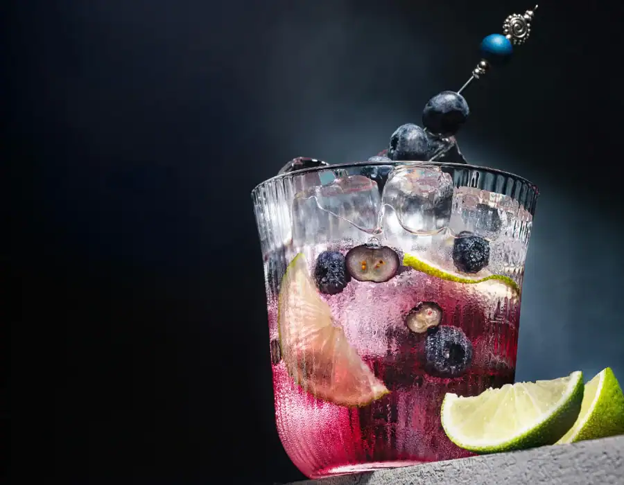 Sloe Gin Fizz